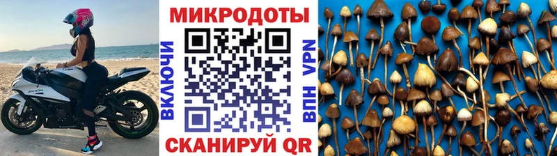 Галлюциногенные грибы Psilocybine cubensis  hydra tor  Павлово  купить наркотики сайты 